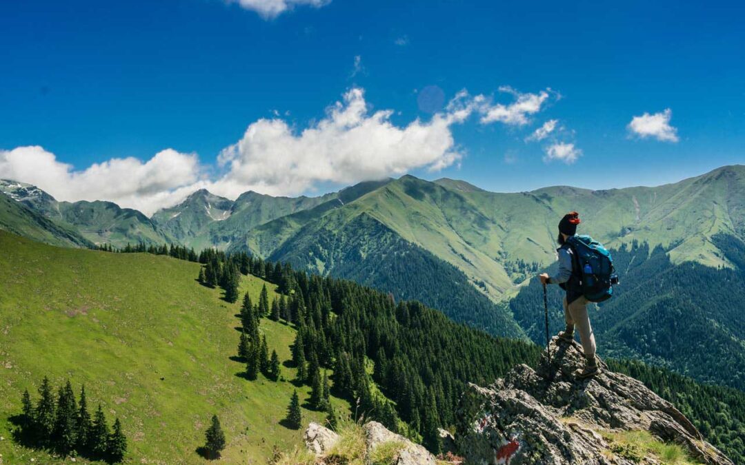 Traveling with a Neurogenic Bladder and Bowel