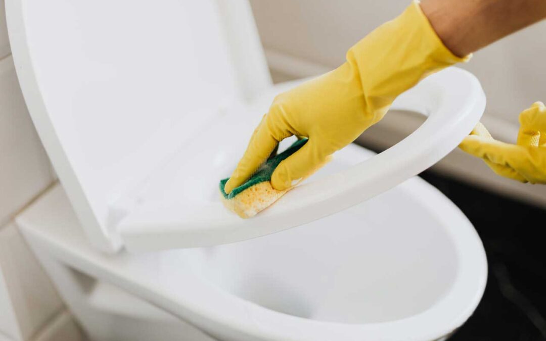 Big John Toilet Seats