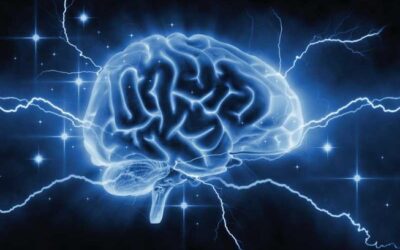 Constipation and the Neurogenic Bowel