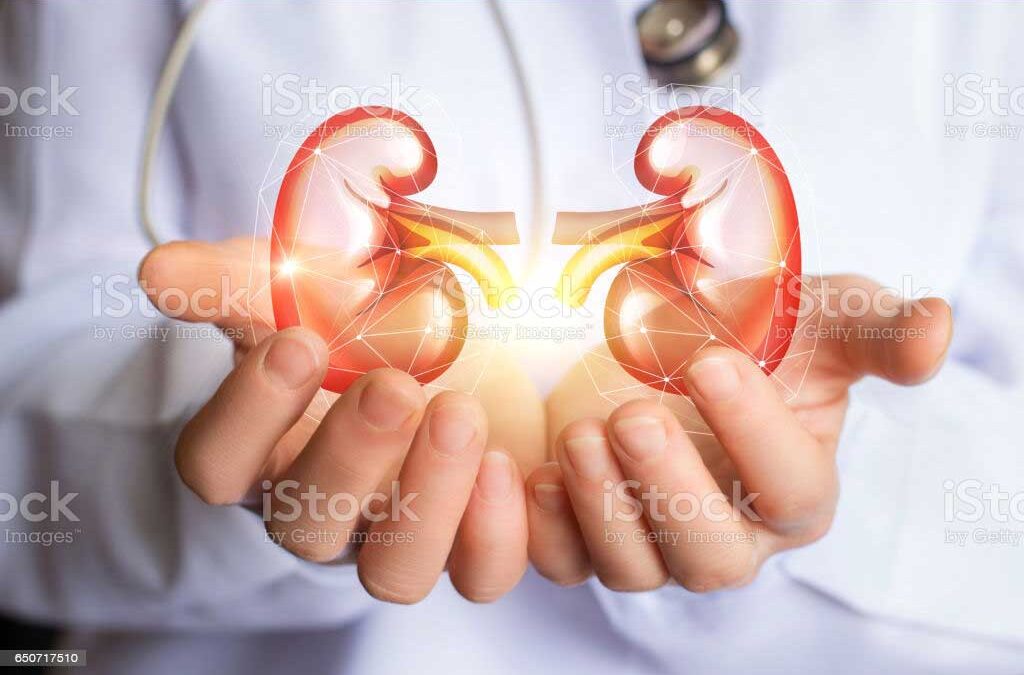 Bladder Problems Can Affect Your Kidneys : Kidney Health 101