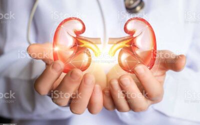 Bladder Problems Can Affect Your Kidneys : Kidney Health 101